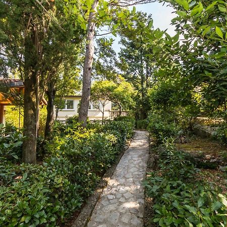 Apartmani "Ostro" Crikvenica Kraljevica Eksteriør bilde